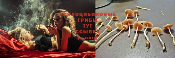 марки lsd Абаза