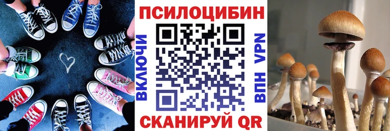 купить  сайты  Галич  ссылка на мегу ONION  Галлюциногенные грибы Psilocybe 